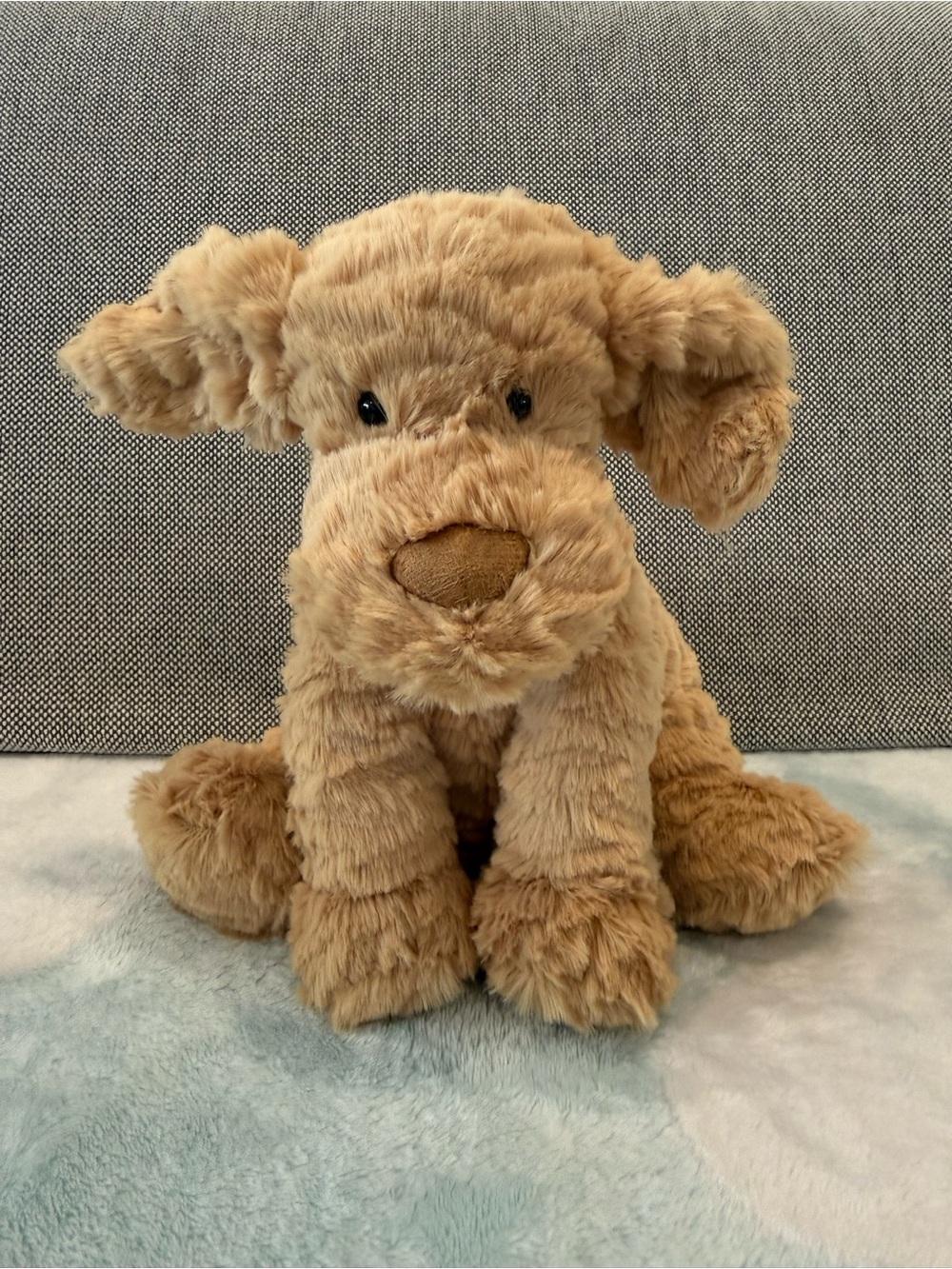 Jellycat Isobel Chihuahua BNWT
